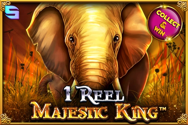 00006 1 reel majestic king