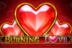 03154 burning love