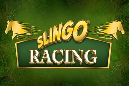 08121 slingo racing