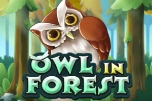 12020 owl in forest